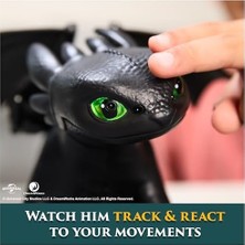 Bliss Store Dreamworks Dragons 6072728 Tamentrainıntertoothless, Çok Renkli
