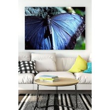 Bliss Store (PSTER16583) Kelebek Hayvan Kanvas Tablo 2 40 x 60