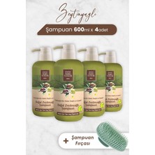 Bliss Store Zeytinyağlı Şampuan 600 ml x 4 Adet ve Şampuan Fırçası