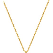 Bilezikci Force 14 Ayar Altın Zincir Kolye (2 mm Enli) 50 cm.