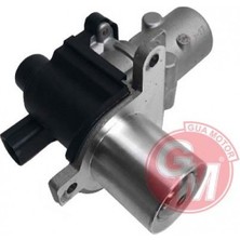 Gua Depomix Egr Valfi Renault Clio Ii-Kangoo-Megan Ii 1.5 Dci 04 Twingo Ii 1.5 Dci 07