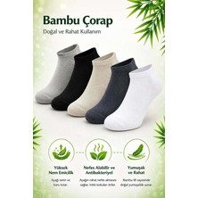 Sky Socks 5'li Erkek Bambu Konforlu Terletmez Koku Yapmaz Renkli Patik Çorap