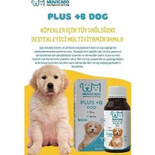 Muvicado Köpekler Için Tüy Sağlığı Damlası - Plus B - Köpek Tüy Vitamini - Tüy Dökülmesini Engelleme