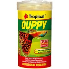 Tropical Guppy Lepistes Balıkları Için Pul Balık Yemi 100 ml 20 gr