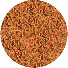 Esranın Dünyası Balık Yemi - Tetra Colour 100GR Kovadan Bölme