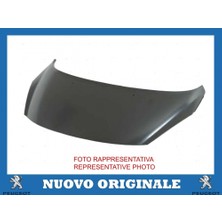 Maher Motor Kaputu 307 06-09 (Sımyı) (Oem No: 7901L9)