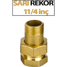 Trend Hause Rekor Sarı 1 1/4 Inç