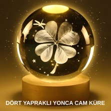 Onba Yonca Bitki Figürlü LED Işıklı Cam Küre USB Ahşap Standlı Gece Lambası - OB8194-6019