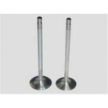 Güneş Depomix Subap Emme Eksoz Peugeot 607-4007CITROEN C5-C8-Freelander 2.2 Hdi 16V Eng-4ht DW12BTED4 In-8/ex