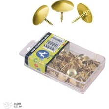 Ark Gold Raptiye Altın Sarısı Raptiye 30 gr Şeffaf Kutulu 2 Adet