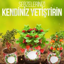 Hereveoyuncak Konserve Bahçem Evde Konservede Fındık Turp Yetiştiirme Kiti