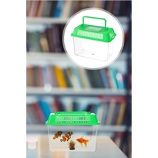 Parla Home Taşınabilir Kulplu Mini Akvaryum ve Fanus Yeşil