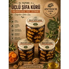 Antioch Farm El Yapımı Şifa Kürü(Zeytinyağı-Günkurusu Kayısı-Ceviz)