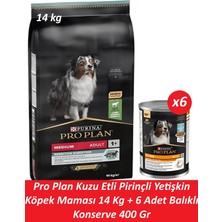 Pro Plan Kuzu Etli Pirinçli Yetişkin Köpek Maması 14 kg + 6 Adet Balıklı Konserve 400 gr