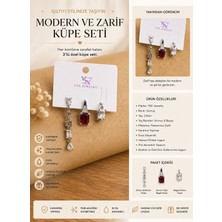Çelik Küpe Seti Pembe Taşlı