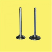Güneş Depomix Emme Eksoz Subap Takim Polo-Golf4-5-Jetta-Passat-Tiguan Ahw-Bby-Bky-Bag-Blf-Blp-Bmy-Bcb-Ca-Caxa