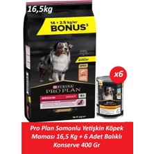 Pro Plan Somonlu Yetişkin Köpek Maması 16,5 kg + 6 Adet Balıklı Konserve 400 gr