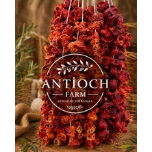 Antioch Farm El Yapımı Kurutulmuş Biber 25 Adet