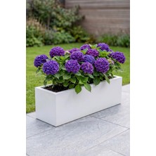 Desen Dekorasyon Zenith 97x27x28 cm Yatay Dikdörtgen Beyaz Saksılık - İç & Dış Mekan Modern Metal Saksı