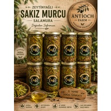 Antioch Farm Elyapımı Yöresel Zeytinyağlı Salamura Sakız Murcu 850GR