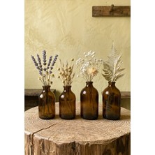 JUNIBELIW 4 Adet Dekoratif Vazo Amber Kahverengi Mini Cam Şişe Vazo 2X100ML ve 2X50ML (Çiçeksiz)