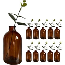 JUNIBELIW 10 Adet Amber 100ML Küçük Cam Vazo Şişesi 10X100ML Dekoratif Şişe (Çiçeksiz) (Y:9,4 G:5)