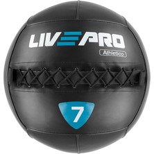Pro Duvar Topu-Wallball