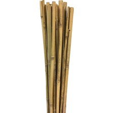163702 Bambu Destek Çubuğu 10'lu - 6-8 mm x 60 cm
