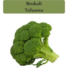 Organik Brokoli Tohumu 1 Paket (1 GR=250+ Adet)