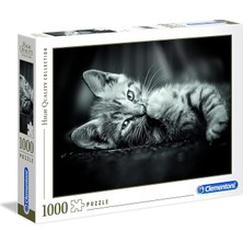 39422 Kedi Yavruları Yetişkinler ve Çocuklar Için Hqc 1000 Parça Yapboz
