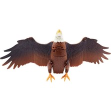 Dönüşen Robo-Hayvan Kartal Renkli 3+