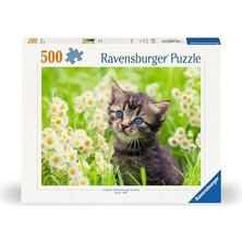 500P Puzzle Kedi Foto, Yapboz