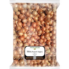 Soğan 500 Gr. Arpacık Soğan Iska Soğan Tohumu Iska