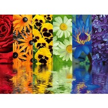 164462 500 Parça Puzzle Çiçek Yansıma, Çok Renkli