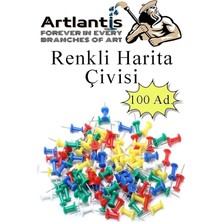 FourForce Harita Çivisi 100'LÜ 1 Paket Mantar Pano Raptiyesi Pano Iğnesi Ofis Okul Büro