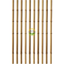 FourForce Destek Çubuğu 10 Adet (180CM)