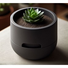 Other Akıllı Sulama Sistemli Modern Sukulent Saksısı - Self Watering Minimalist Tasarım-Self Watering Designed Succulent Planter