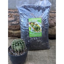 FourForce Toprağı 20 Lt Özel Karışım Sukulent Toprağı Aloe Vera Toprağı Kaktüs Harcı Teraryum Toprağı