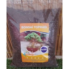 FourForce Toprağı 3 Lt Ithal Torf Perlit Kırmızı Pomza Lav Taşı Karışımlı Özel Bonsai Toprak