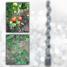 Adet 150 cm Metal Spiral Bitki Destek Çubuğu Hobi Bahçesi Bitki Bağlama Teli Sebze Desteği ve Çiçek Teli