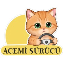 FourForce Tasarla Acemi Sürücü Sevimli Kedi Araba Etiketi & Sticker Çok Renkli
