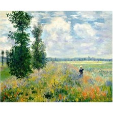 FourForce Monet Hashas Bahçesi Sayılarla Boyama Seti Kasnaklı 40 x 50 cm
