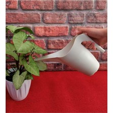 FourForce Kabı 1 Litre Krem Sulak Sulama Kapları Çiçek Sulama Bidonu Çiçek Fidan Bitki Sulama Kabı