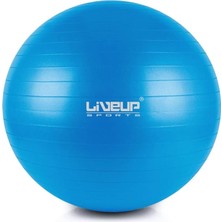FourForce LS3222 55 cm Anti-Burst Pilates Topu + Pompası