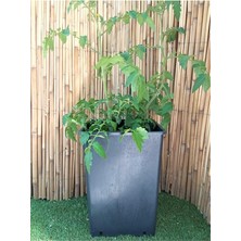 FourForce Saksı 15 Adet 15 Lt 23,5X33 cm Üretim Saksısı Siyah Saksı Kare Üretim Saksı Plastik Saksı