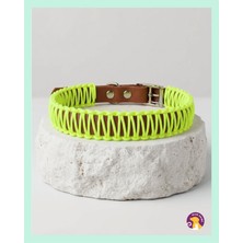 Elar Aksesuar El Yapımı Paracord ve Deri Köpek Boyun Tasması – DKT26