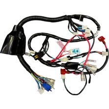 Atl Mondial Drift L 125 Elektrik Tesisatı
