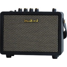Dk Audıo Ig-10 Pro+ Şarjlı Bluetooth 10W Elektro Gitar Amfisi