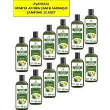 Hunca Care Papatya, Arnica, Çam ve Sarmaşık Içerikli Bitkisel Şampuan, 485 ml 12'li Paket