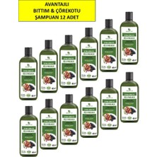Celestique Bıttım & Çörekotu Şampuan 485ML 12LI Paket